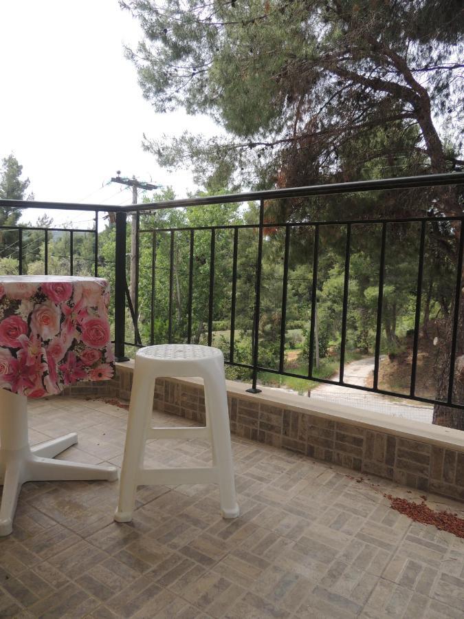 Villa Platskos Vol 2 Kriopigi Dış mekan fotoğraf